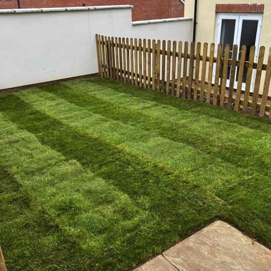 Lawns